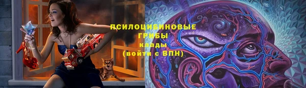 2c-b Абдулино