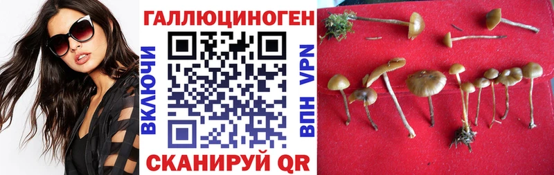 OMG рабочий сайт  Нюрба  Псилоцибиновые грибы Psilocybine cubensis 